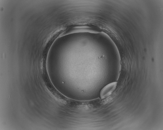 X0000068830404200605051241