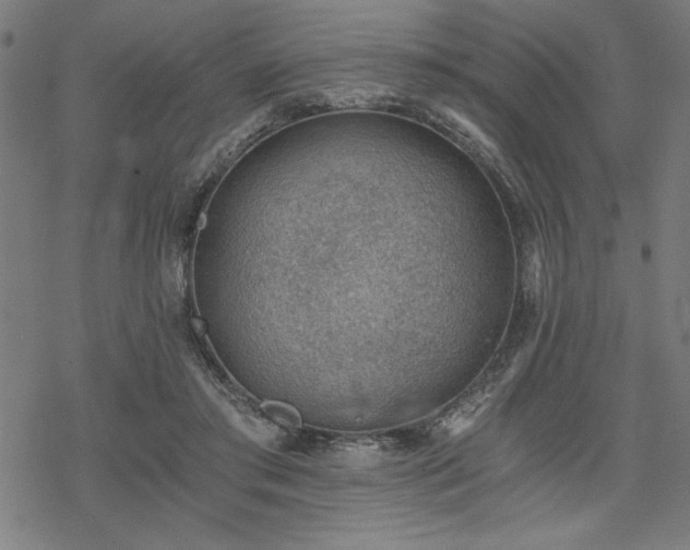 X0000068830405200605051241