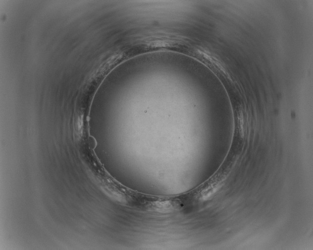 X0000068830406200605051241