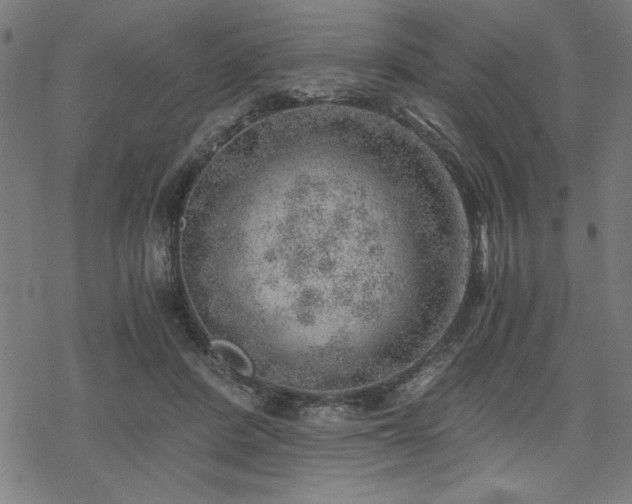 X0000068830408200605051241