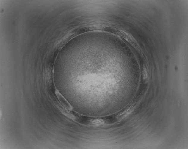 X0000068830409200605051241