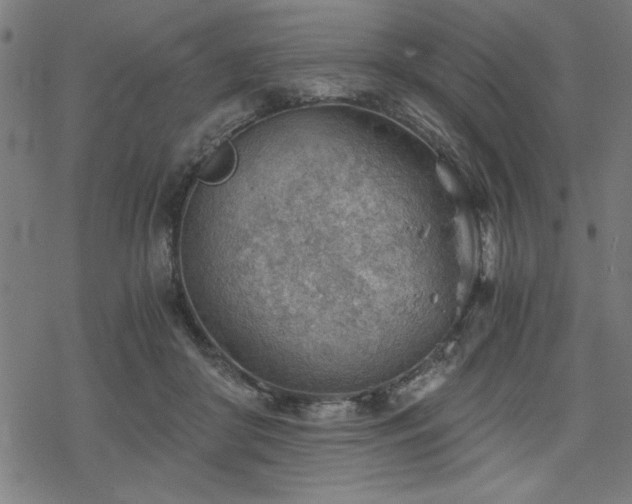 X0000068830410200605051241