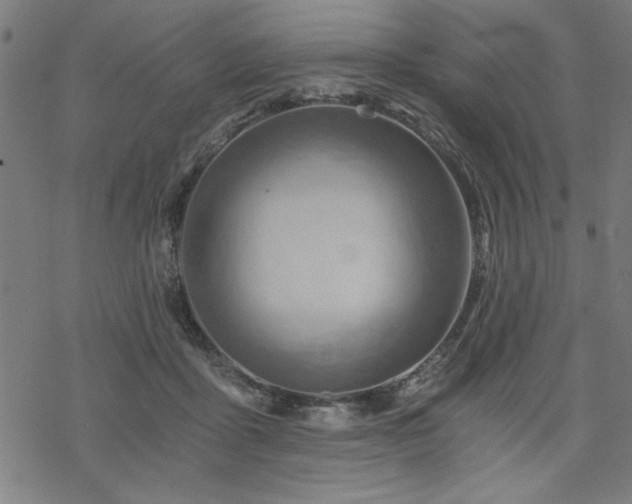 X0000068830411200605051241