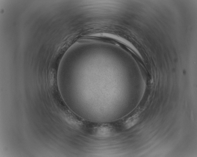 X0000068830412200605051241