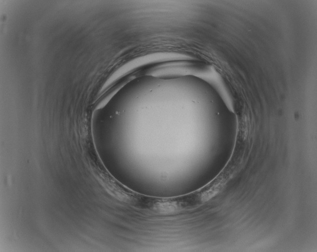 X0000068830413200605051241