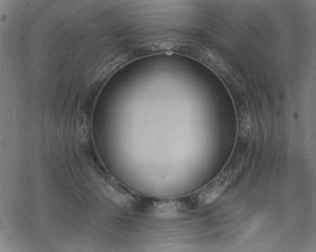 X0000068830414200605051241