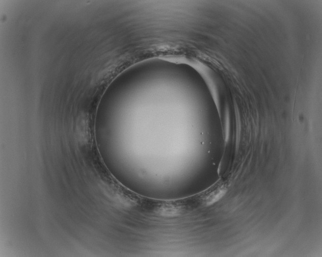 X0000068830416200605051241