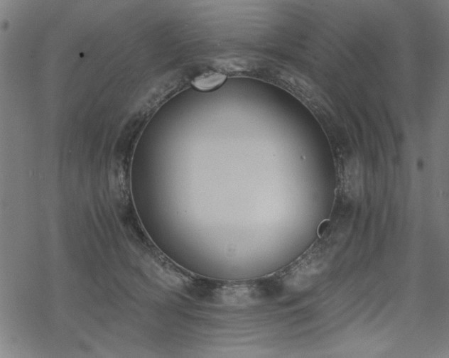 X0000068830418200605051241