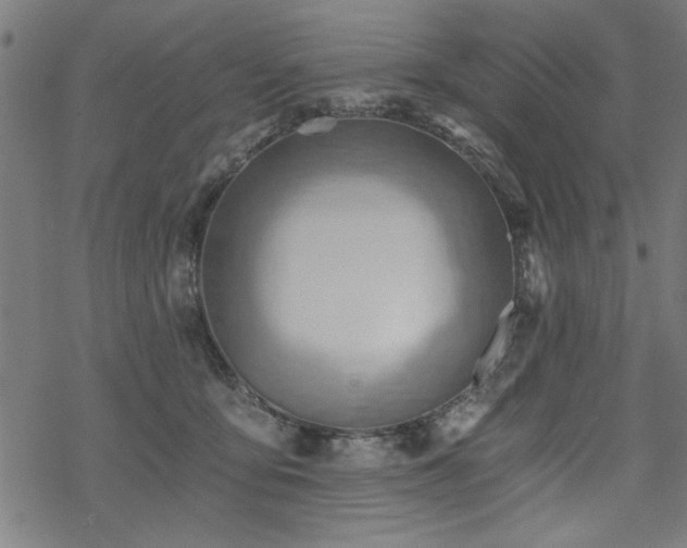 X0000068830419200605051241