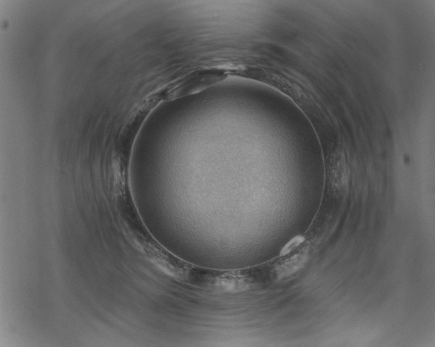 X0000068830420200605051241