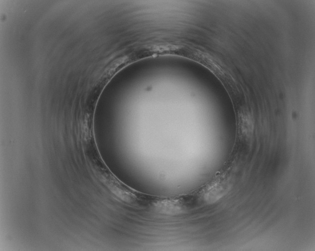 X0000068830422200605051241