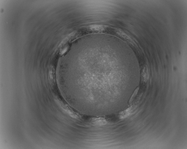 X0000068830424200605051241