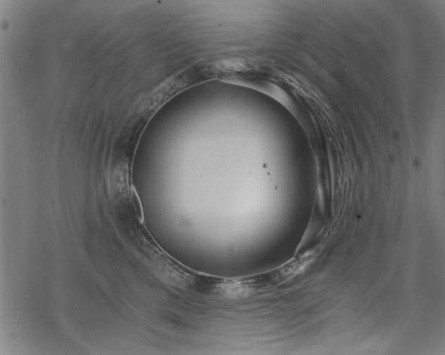 X0000068830425200605051241