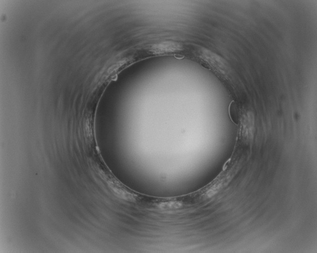 X0000068830426200605051241