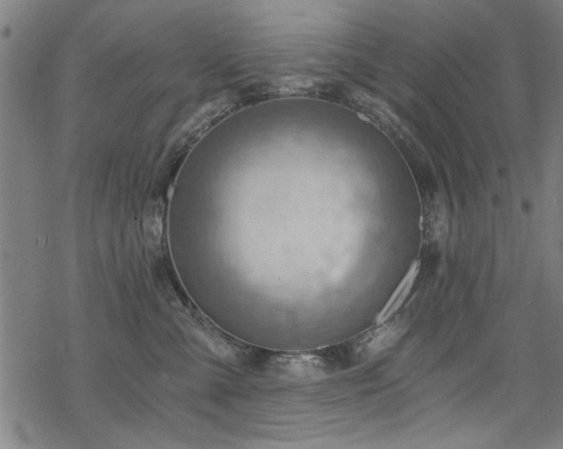 X0000068830427200605051241