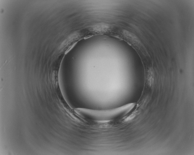 X0000068830428200605051241