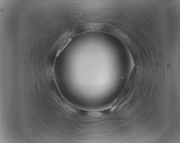 X0000068830429200605051241