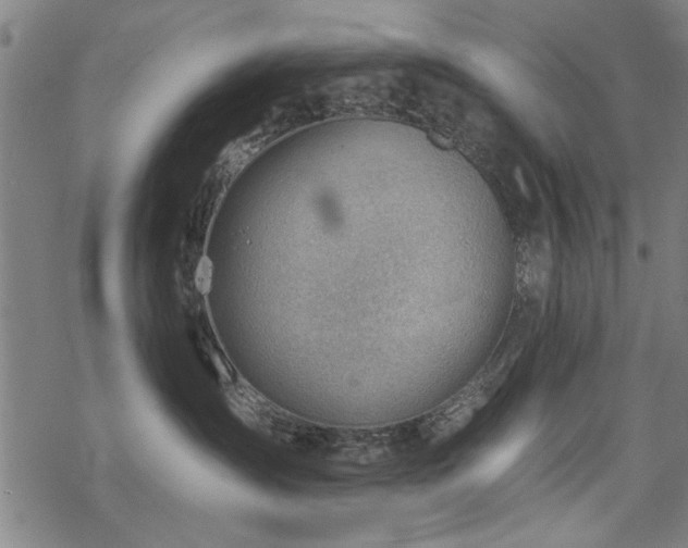 X0000068830431200605051241