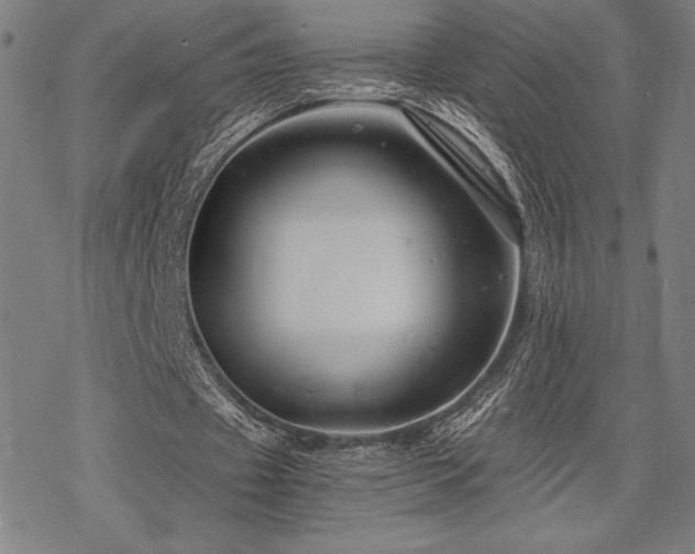 X0000068830433200605051240