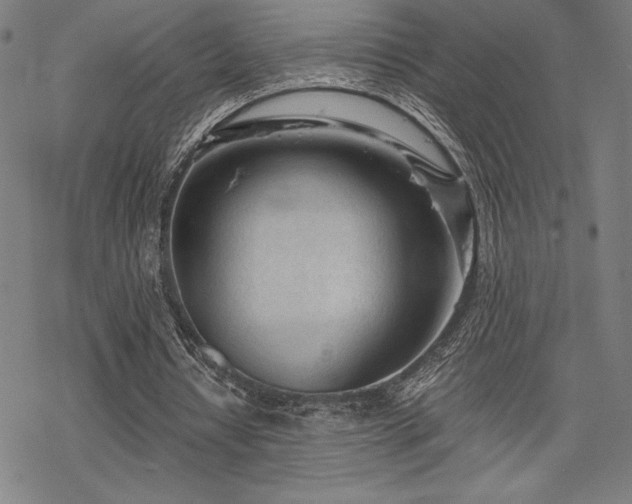 X0000068830434200605051240