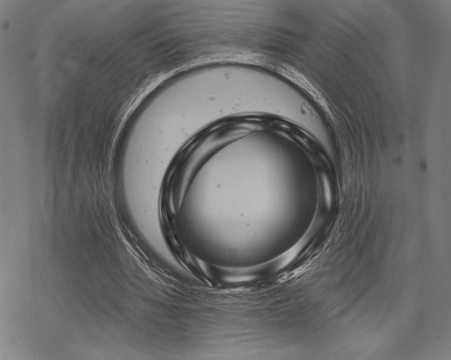 X0000068830436200605051240