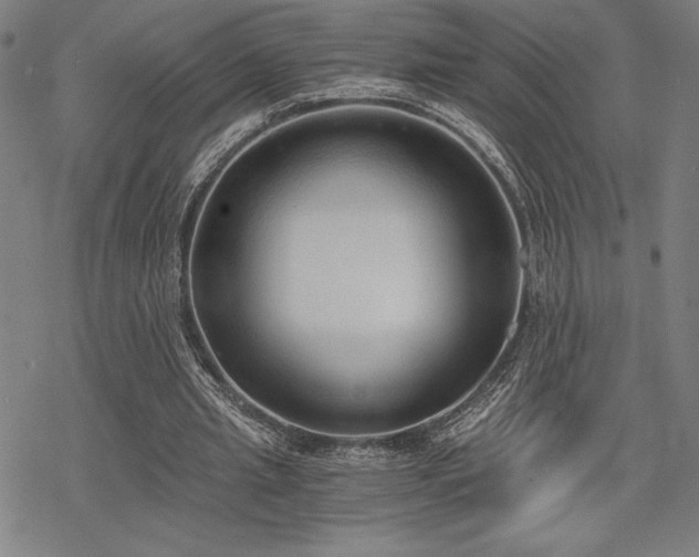 X0000068830437200605051240