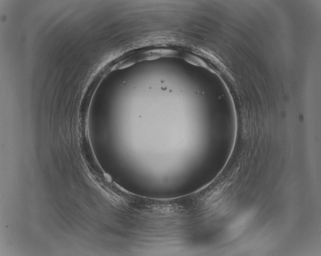 X0000068830439200605051240