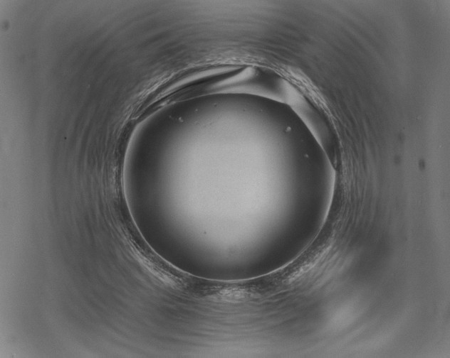 X0000068830441200605051240