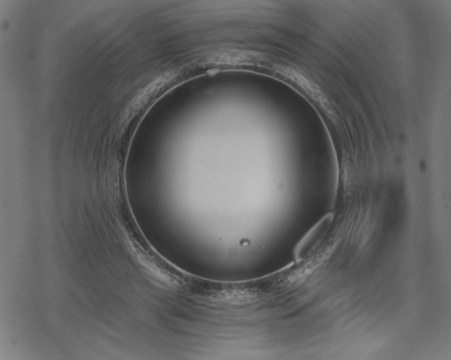 X0000068830445200605051240