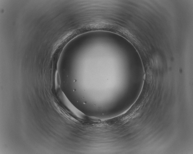 X0000068830446200605051240