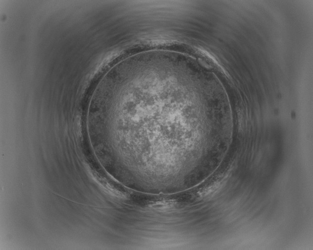 X0000068830447200605051240