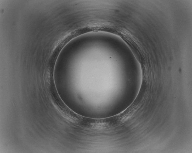 X0000068830448200605051240