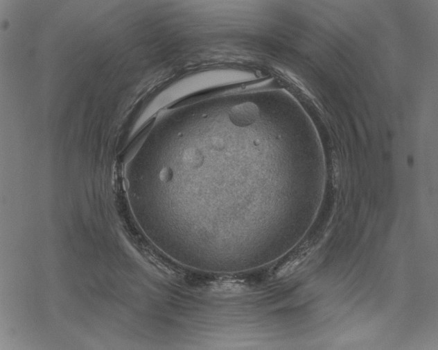 X0000068830451200605051240