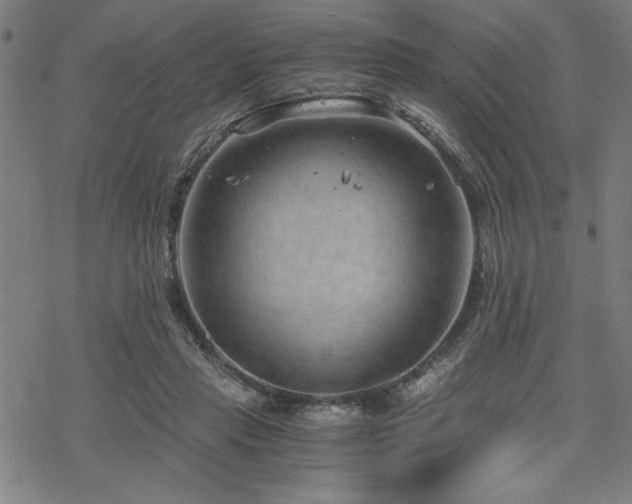 X0000068830453200605051240