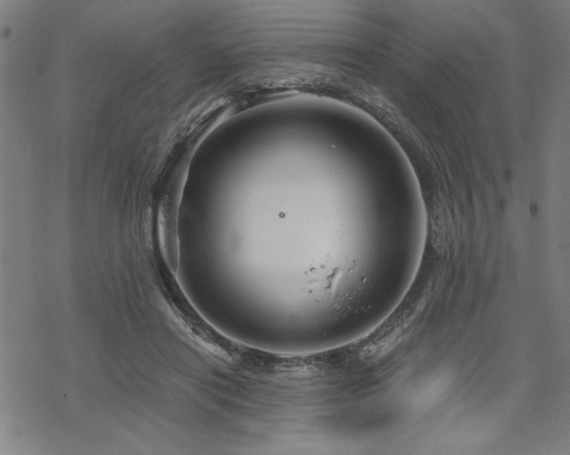 X0000068830454200605051240