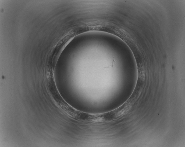 X0000068830456200605051240