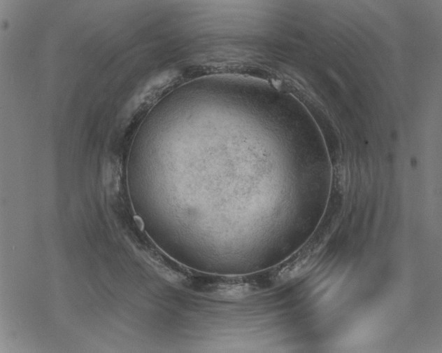 X0000068830458200605051240