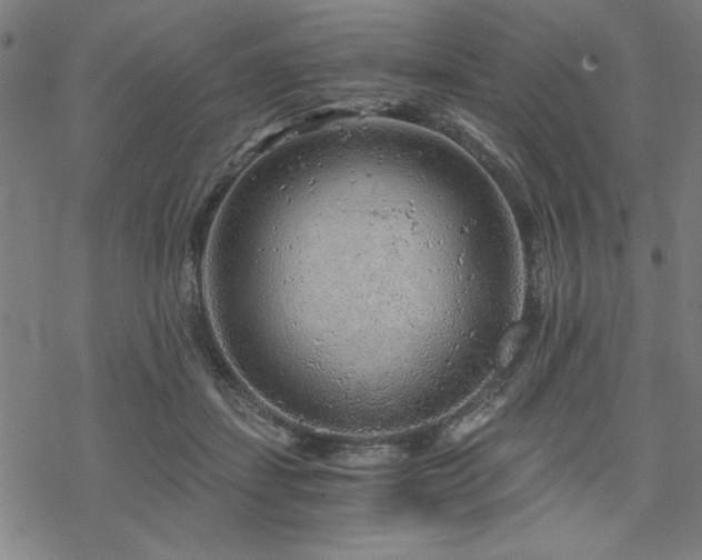 X0000068830459200605051240