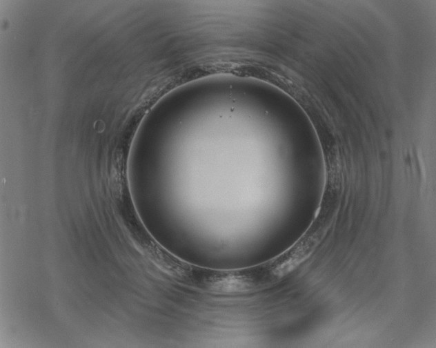 X0000068830460200605051240