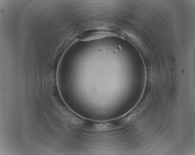 X0000068830461200605051240