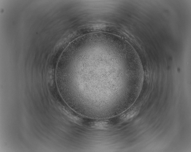 X0000068830462200605051241