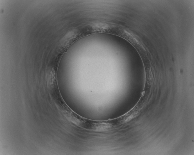 X0000068830463200605051241