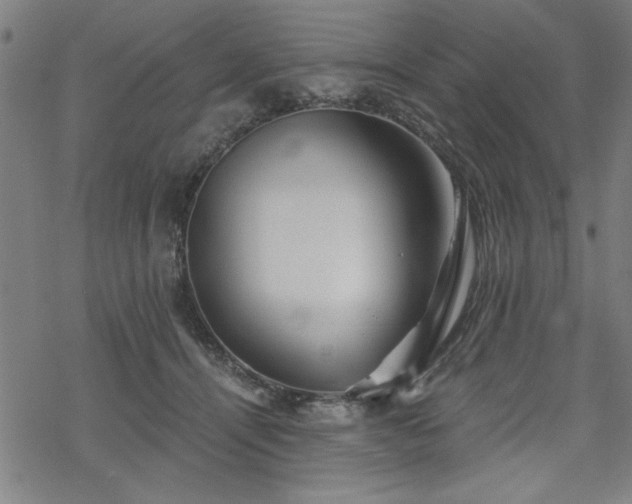 X0000068830464200605051241