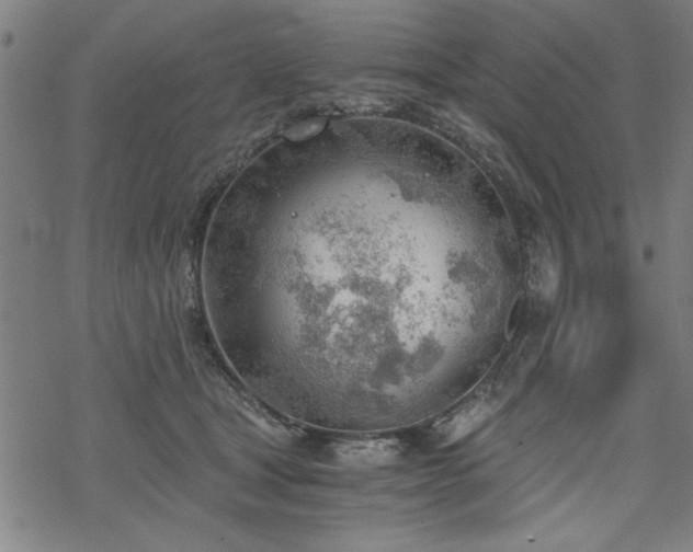 X0000068830465200605051241