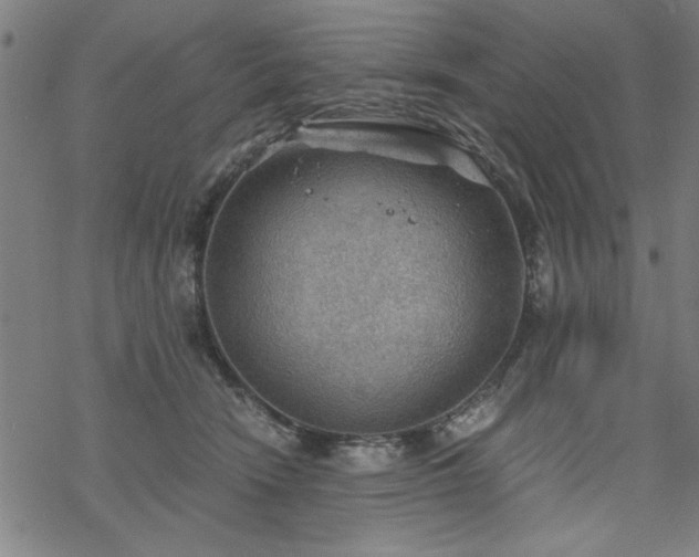 X0000068830466200605051241