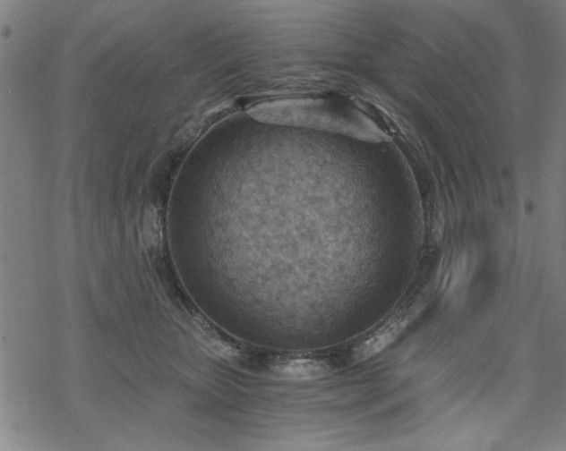 X0000068830467200605051241