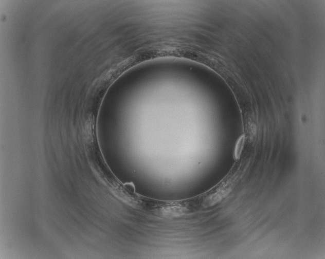 X0000068830468200605051241