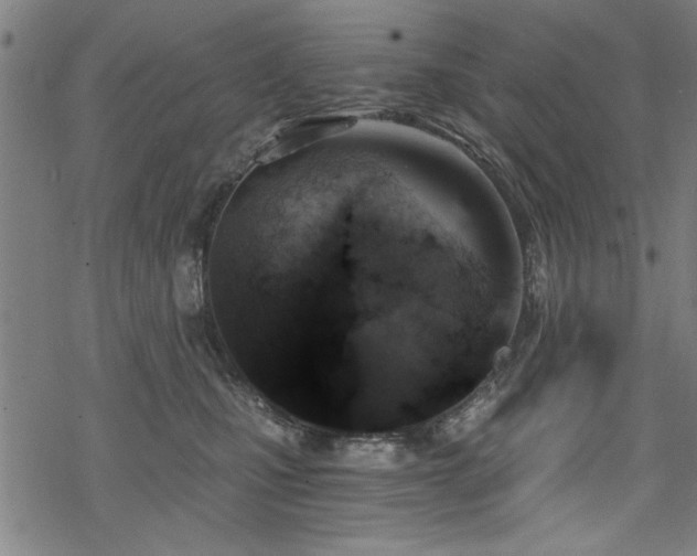 X0000068830471200605051241