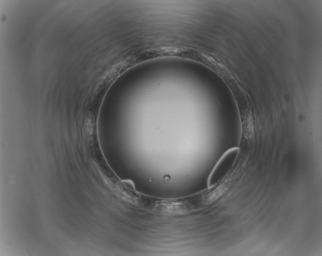 X0000068830472200605051241