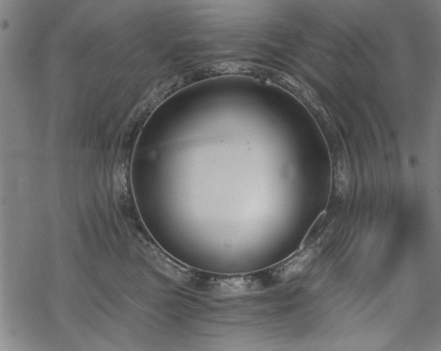 X0000068830473200605051241